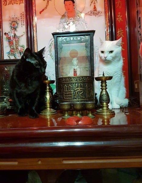 上厕所如何不被水溅到,上厕所怎么能不让水溅身上