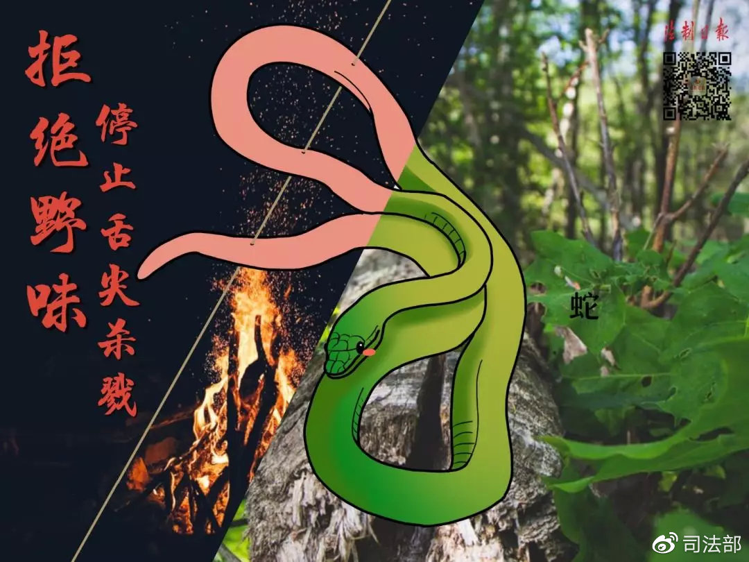 拒绝野味该做到的事情,呼吁大家拒绝野味怎么说