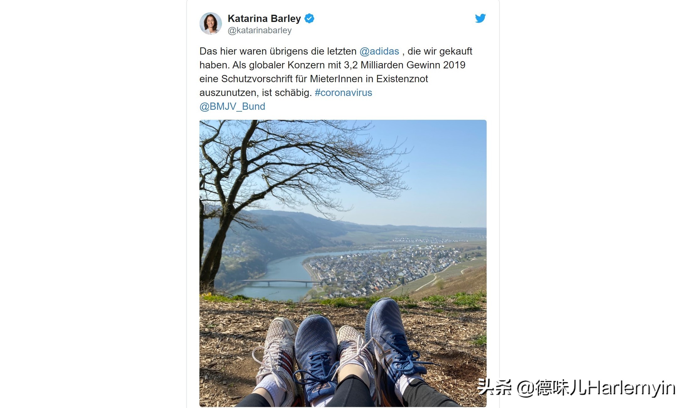 阿迪达斯事件处理结果,阿迪达斯adidas疫情实情