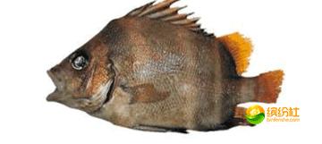 舟山海鲜代加工攻略,最全舟山海鲜攻略