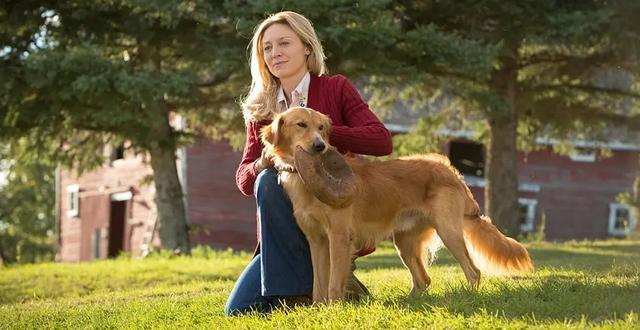 如果你不打算结婚需要明白三件事,如果你这辈子不想结婚要准备什么