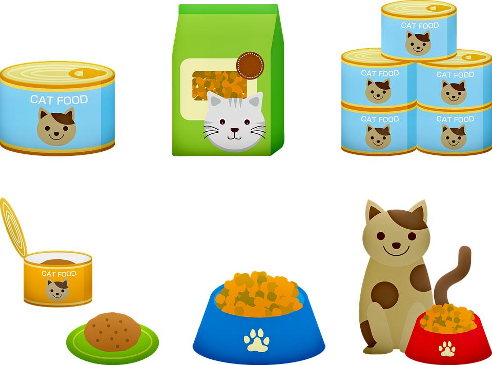 进口猫粮推荐红黄绿,猫粮进口怎么选择品牌