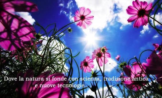 用植物染发剂染发对身体有伤害吗,植物染发剂哪个牌子最好最安全