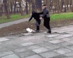 小众奢侈品手链,适合情侣用的奢侈品手链