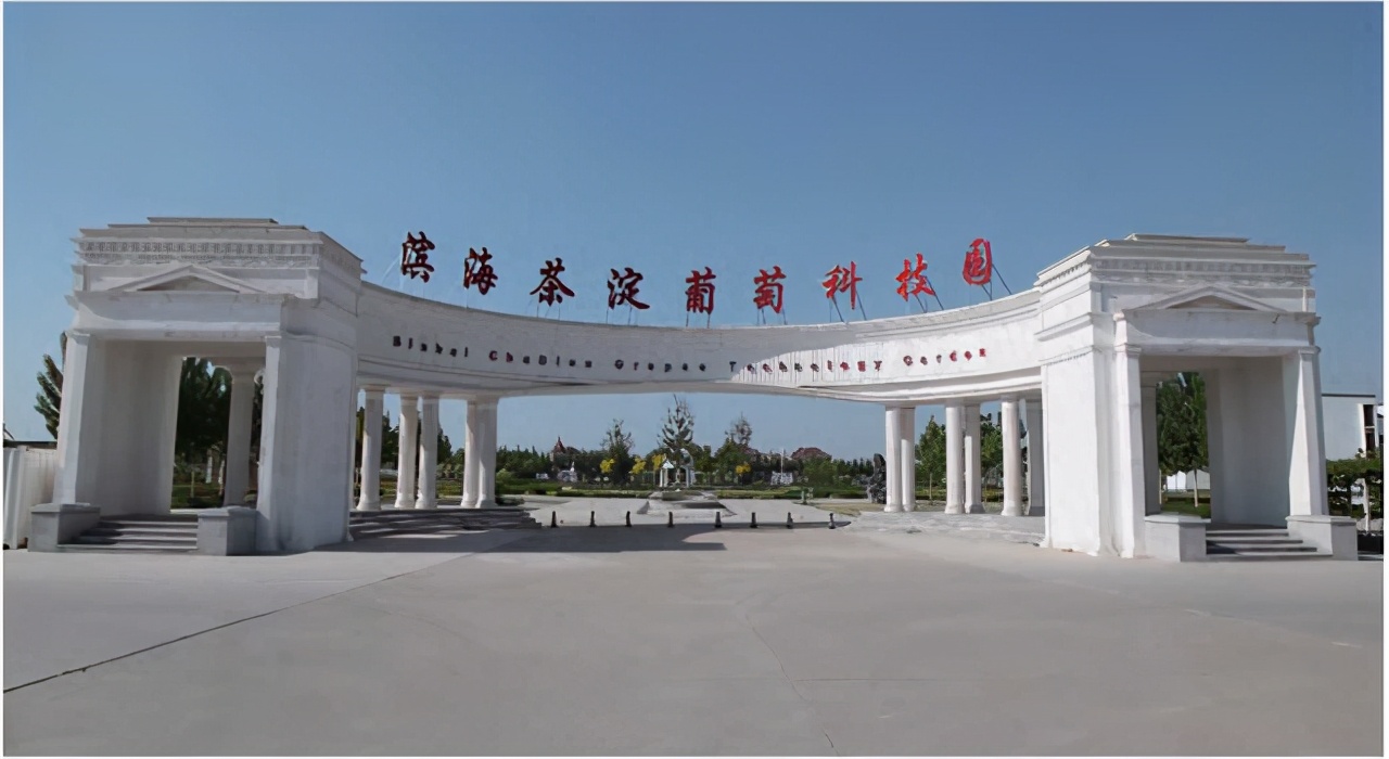 在天津住的体验,在天津住是什么感受