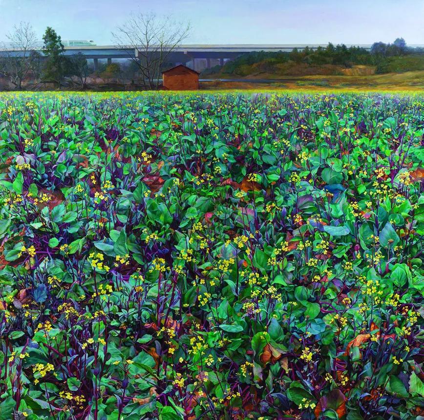 第十三届全国美展油画作品集,第十三届全国美术展油画作品集