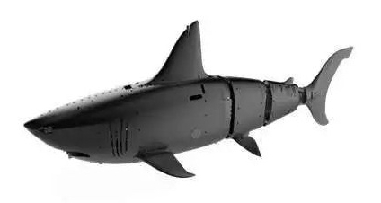 探馆时刻|2019世界机器人博览会新奇特