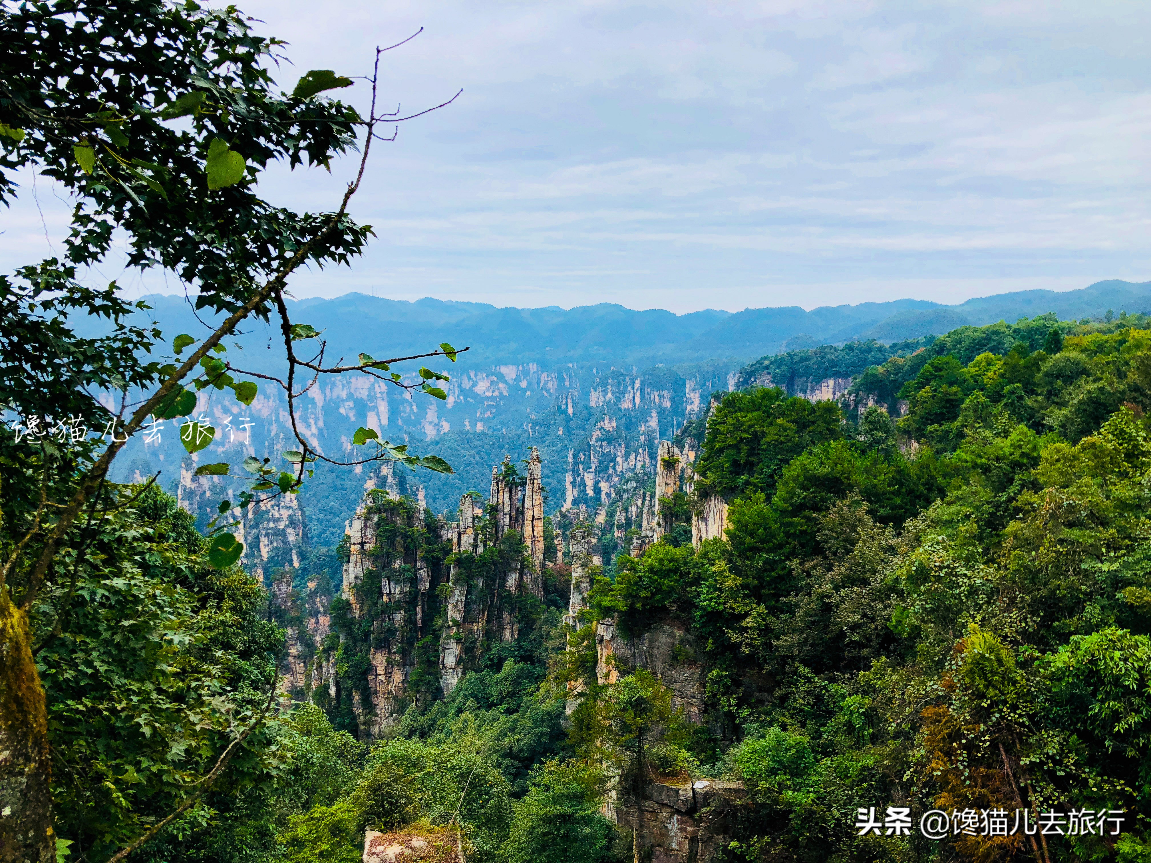 湖南张家界五日游计划安排,湖南张家界旅游方案
