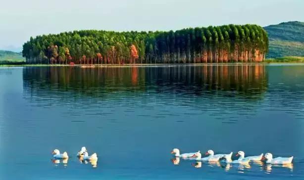 柳州人怎么跟外地人介绍柳州,柳州人怎么跟外地人推荐柳州