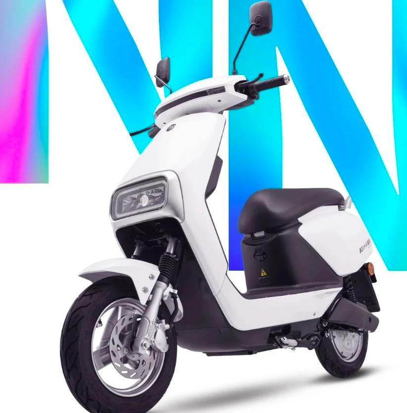 爱玛电动车48v20ah能配100ah电池吗,爱玛全球超受欢迎的电动车价格