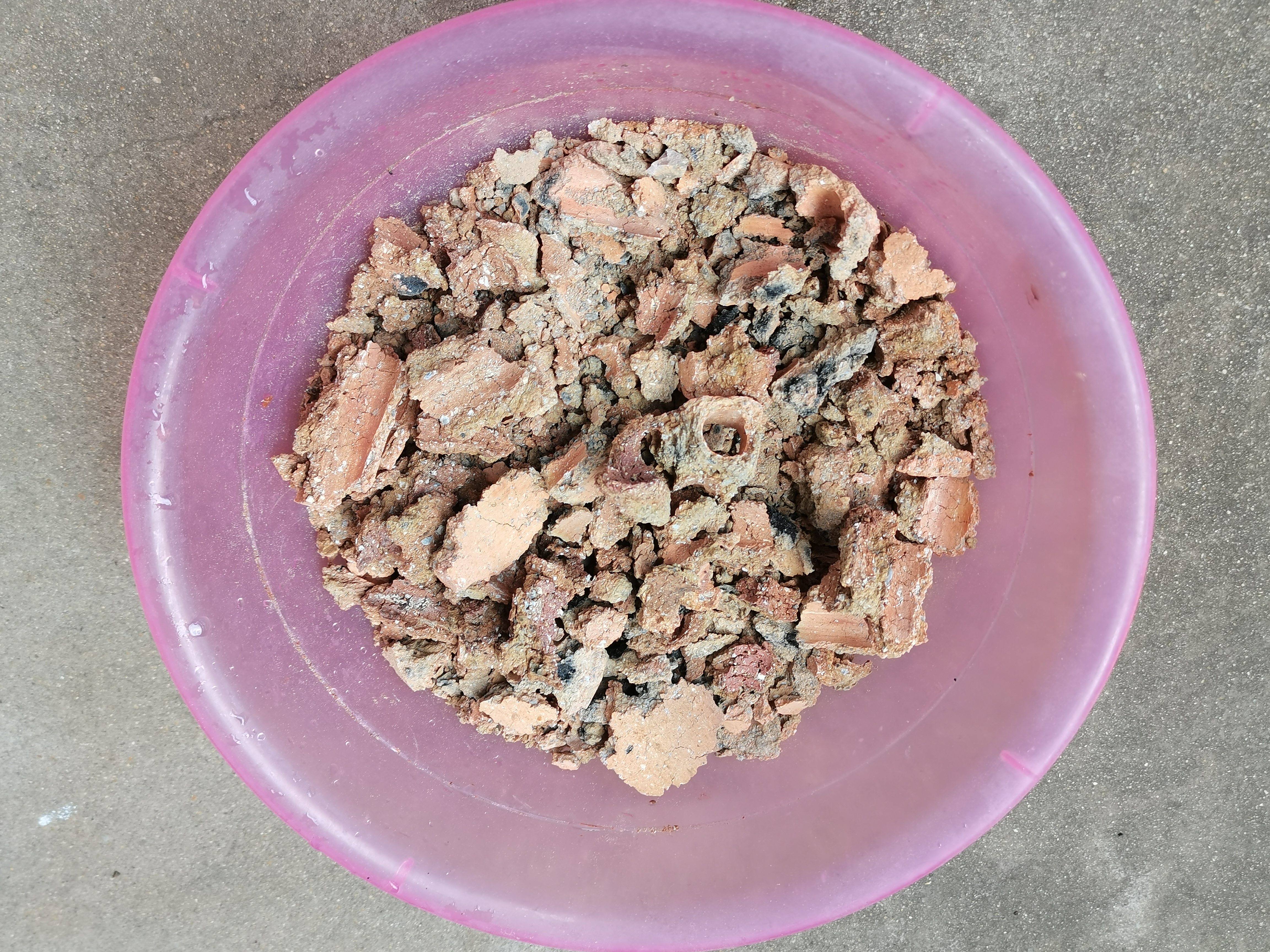 燃烧完的煤球可以养什么花,燃烧后的灰烬可以养花吗