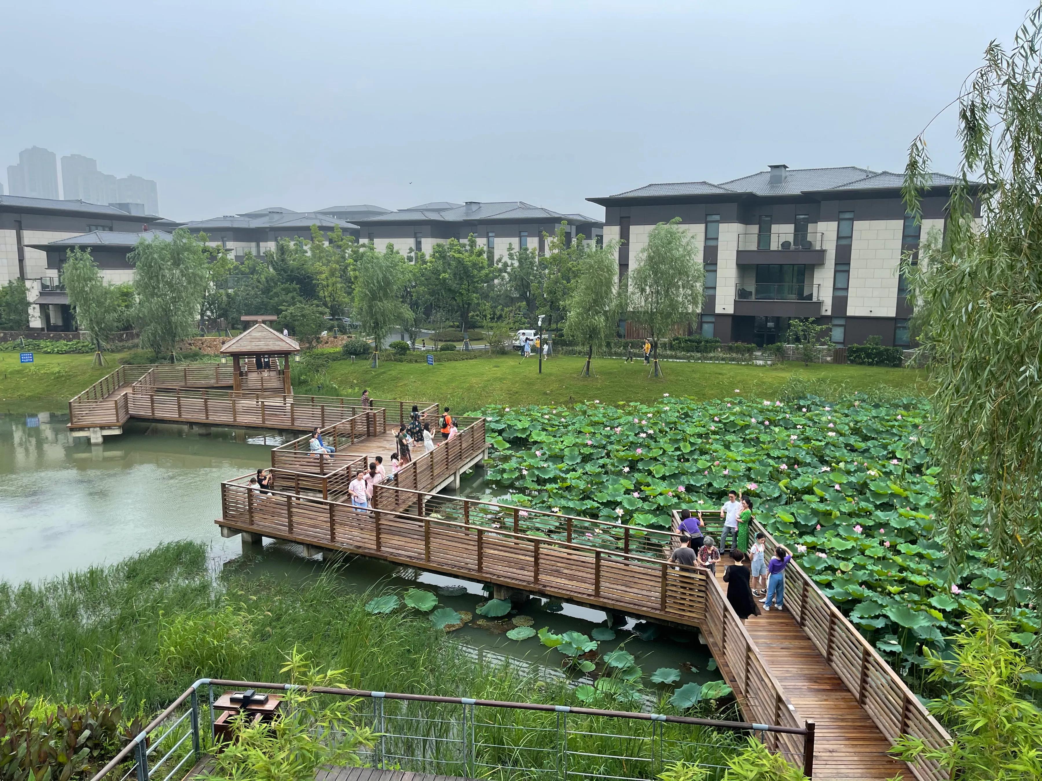 鑻忓窞涓滃お婀栧ぇ閰掑簵闄勮繎,鑻忓窞涓滃お婀栧ぇ閰掑簵鎺掑悕