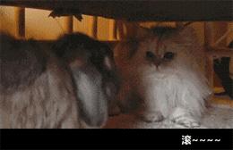 女人来姨妈喝红糖水能缓解痛经吗,女生喝红糖水能调理痛经吗