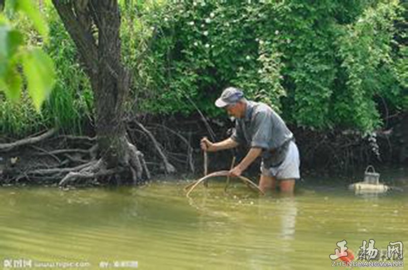 童年野外捉鱼,童年溪边捉鱼