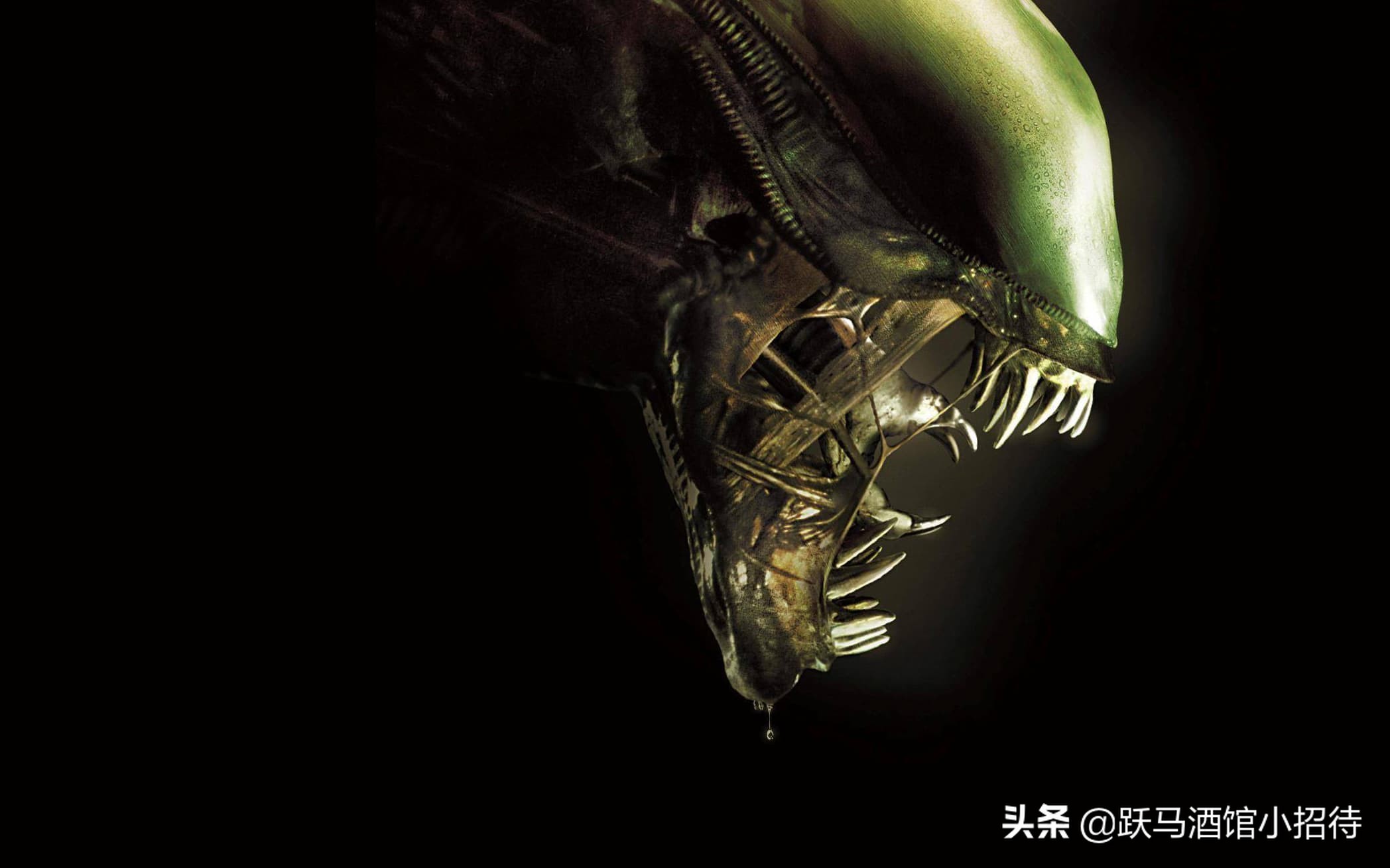 异形抱脸虫交替过程,异形抱脸虫种类