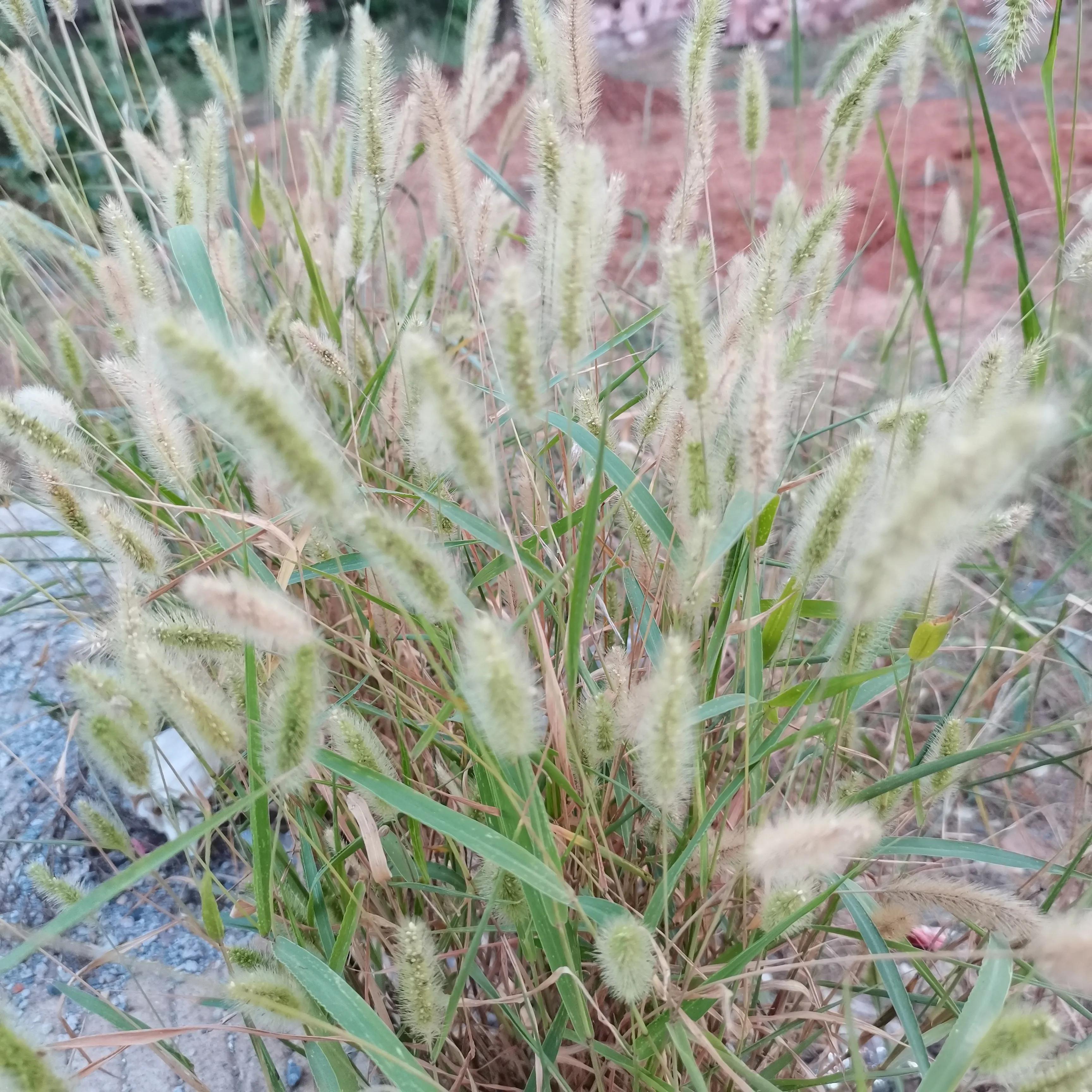 写出你最想从事的职业,请列举出三种你非常感兴趣的职业