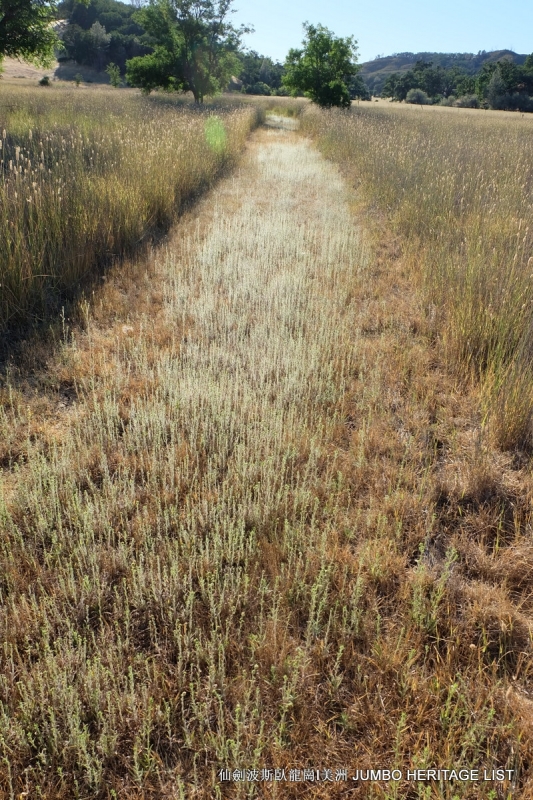 第3045回：人生一世草生一春，来如风雨去似微尘