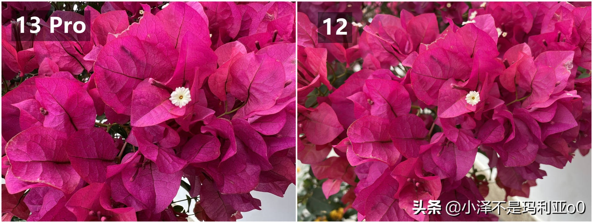 远峰蓝iphone13pro真的假的,iphone13pro远峰蓝边框会刮花吗