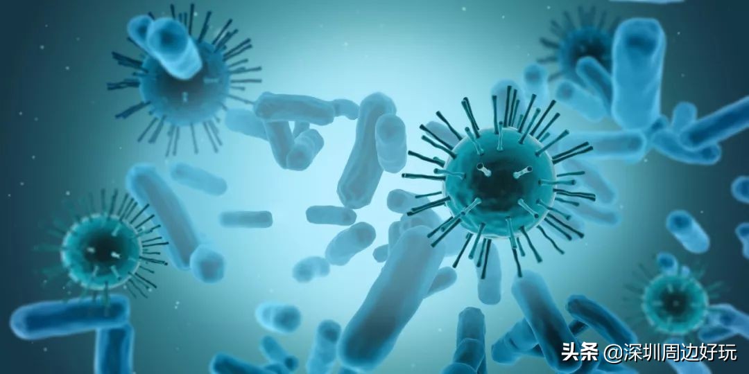 深圳人注意啦！近期这种病游泳后高发、传染性极强