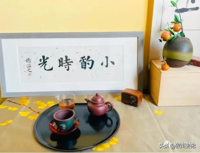 杨燕：我的书房为啥叫“晤园”