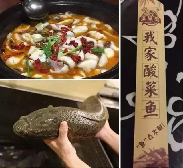 合肥最好吃的鱼店推荐,合肥好吃的鱼店推荐包河