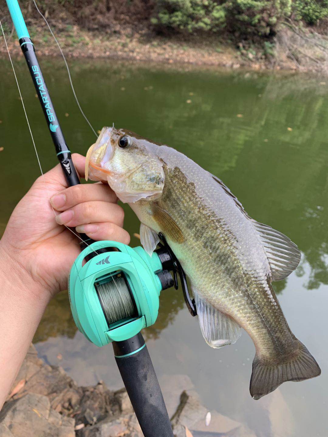 野钓鱼大师技巧讲解,路亚亮片水下泳姿