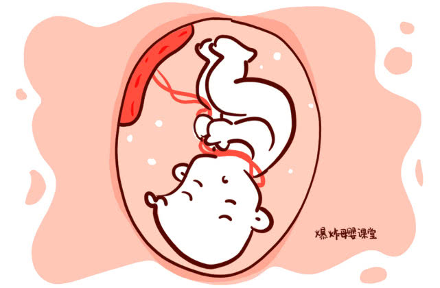 胎儿不动是营养不良吗,怀孕宝宝一天不动正常吗