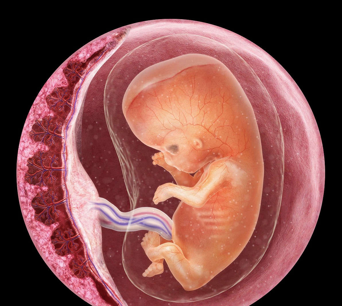 孕期做什么检查才能排除基因问题,孕期要做什么检查能确诊胎停