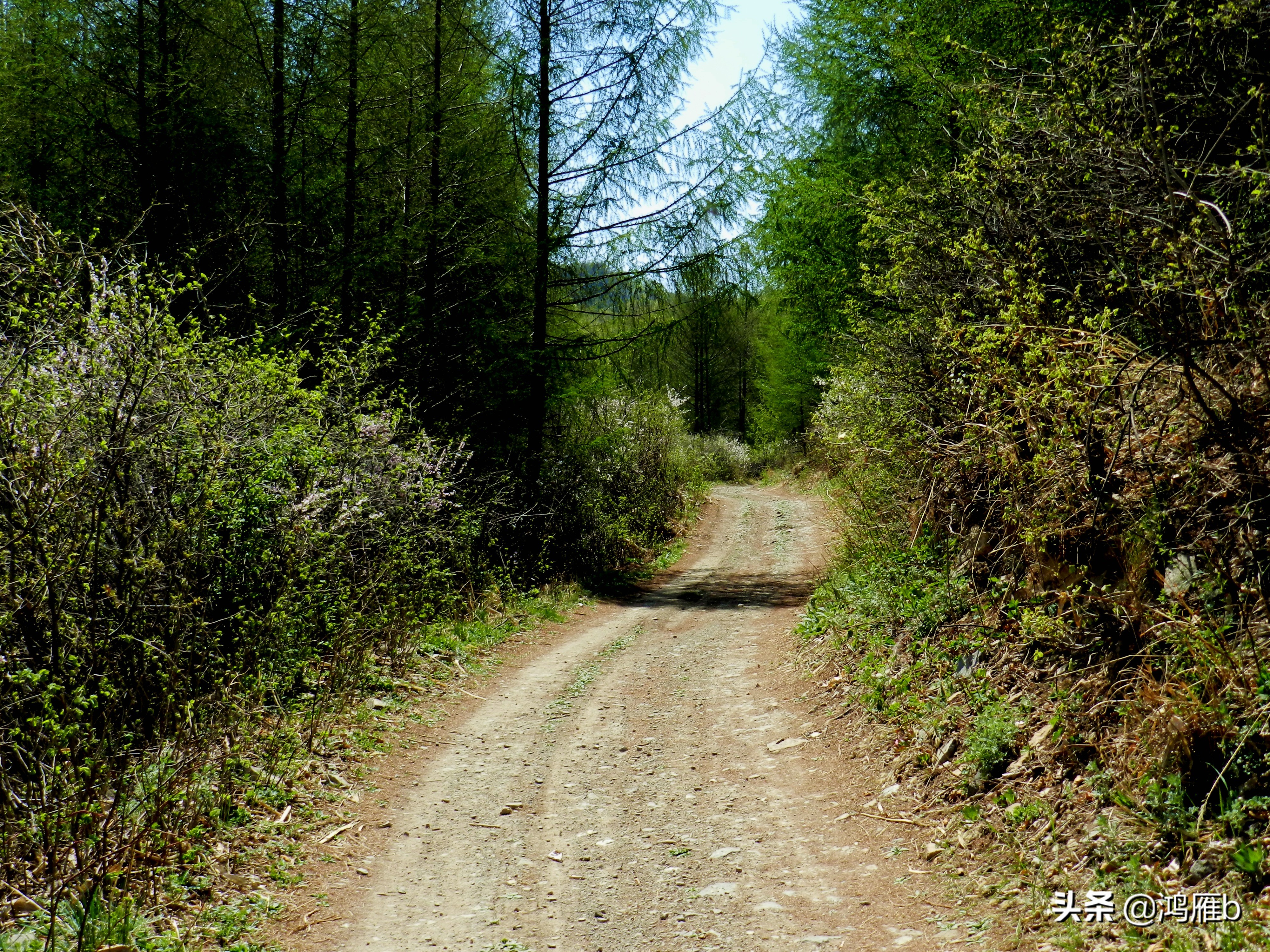 本溪小众秘境,本溪神秘山村