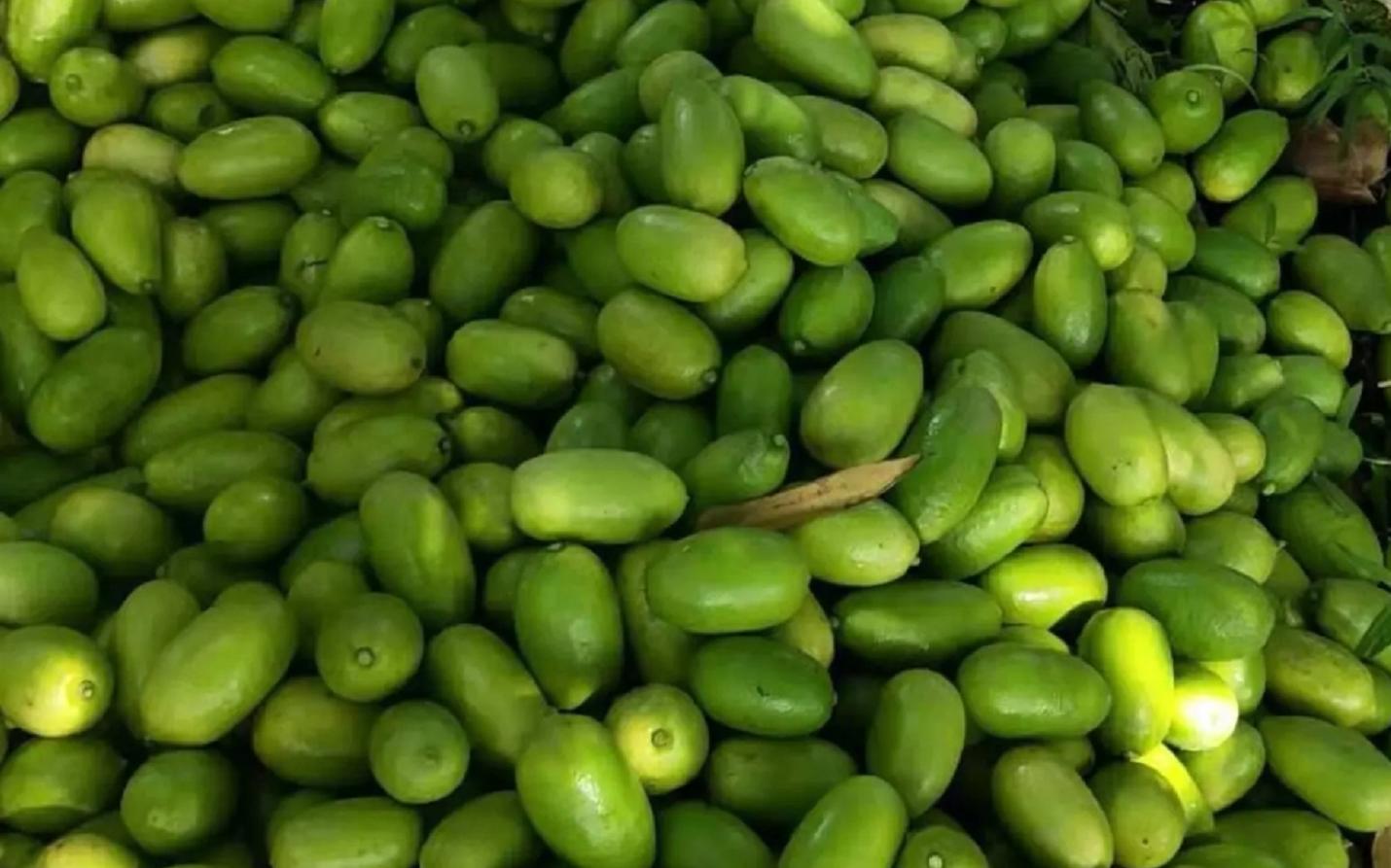 价格直逼猪肉，广东柠檬成“精”了，我是你泡不起的柠檬