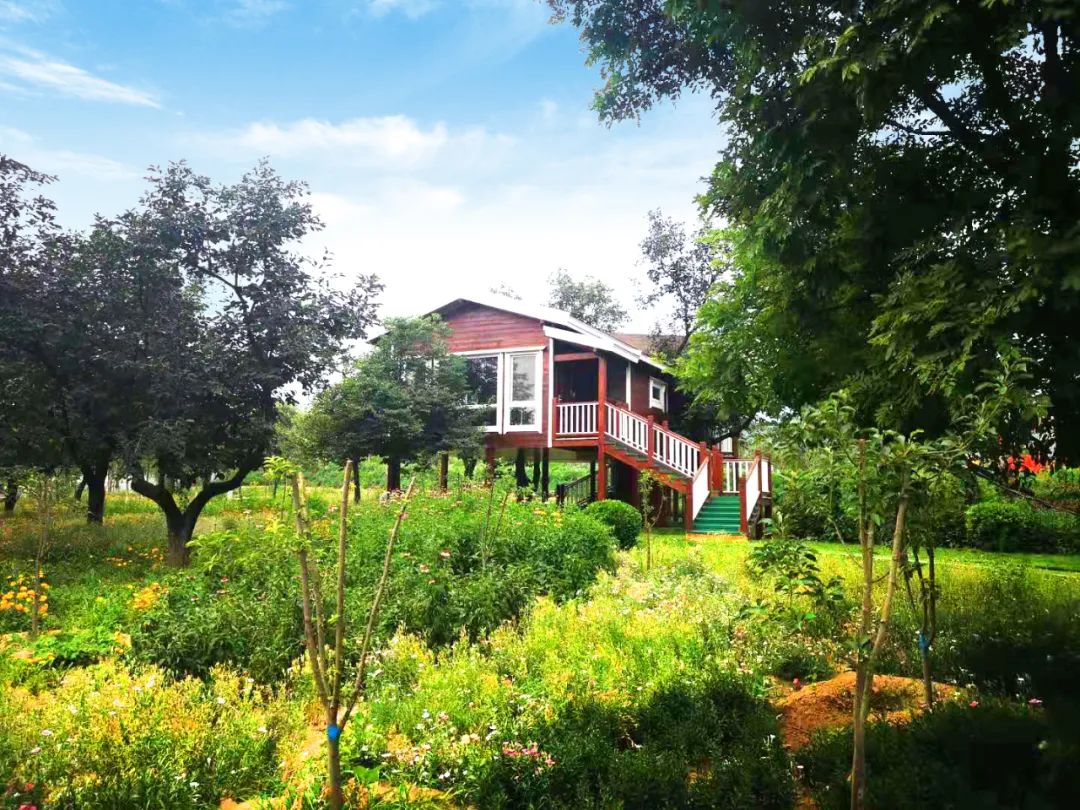 北京4月踏青的地方丰台区有哪些,丰台踏青好去处