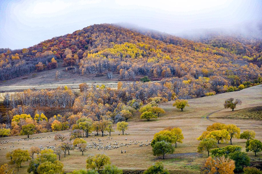 周洪涛上海,上海周洪涛摄影
