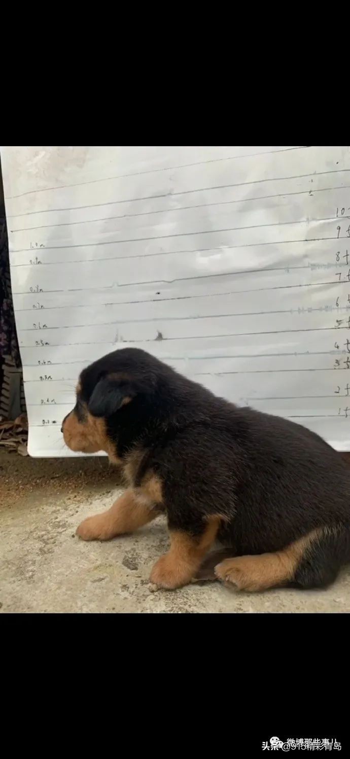 【今日爆笑大集合】哈哈啊哈哈哈哈哈哈哈520转账方式