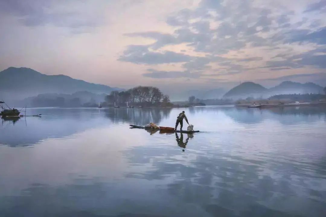 它们冷门，可却是如此幽静美丽