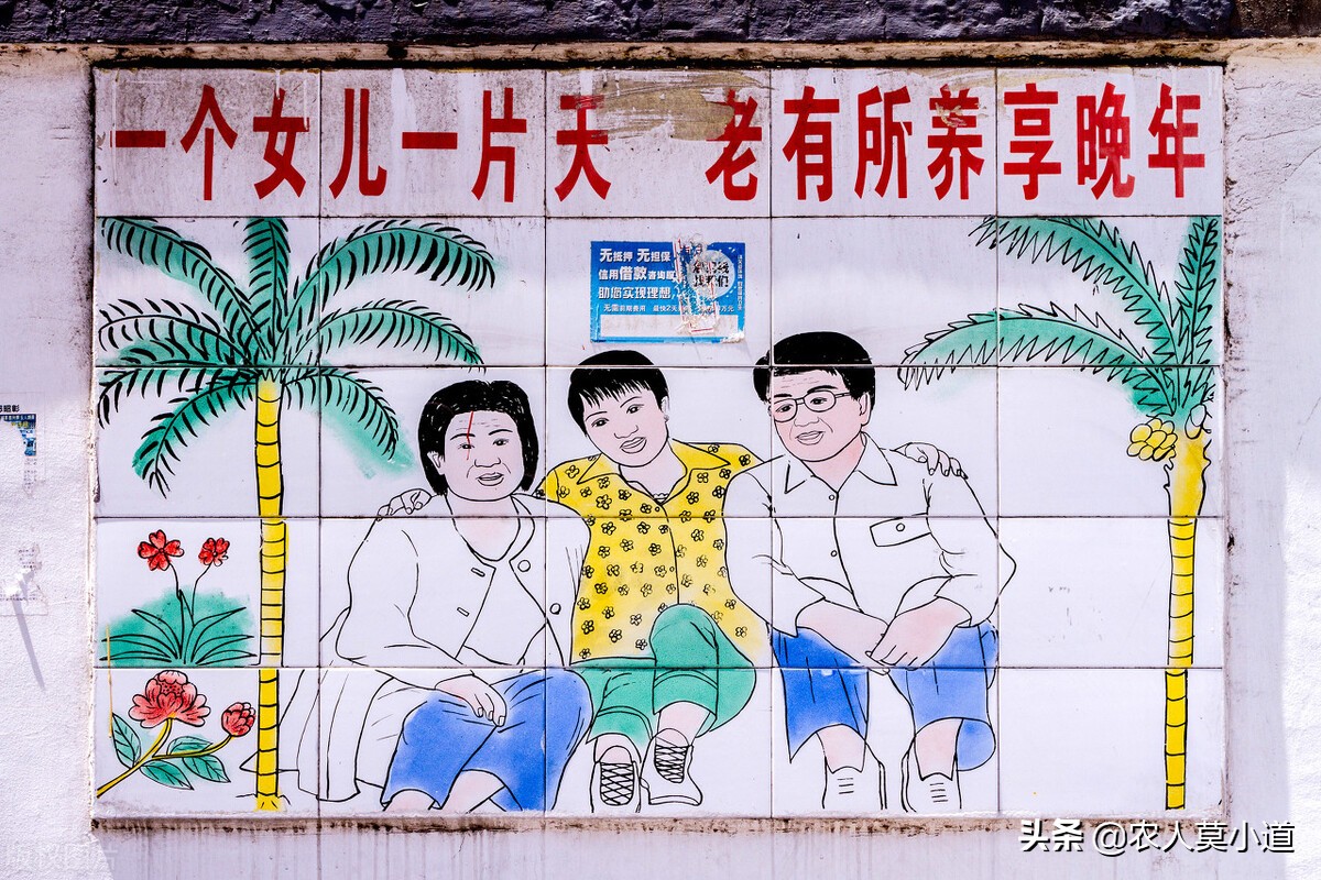 怎么看待农村人生三胎,怎么看待农村三胎