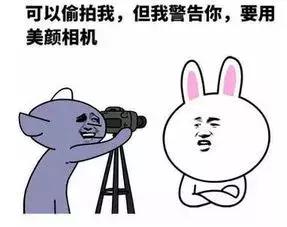 手机被偷摄像头拍到小偷能找到么,拍摄像头被偷