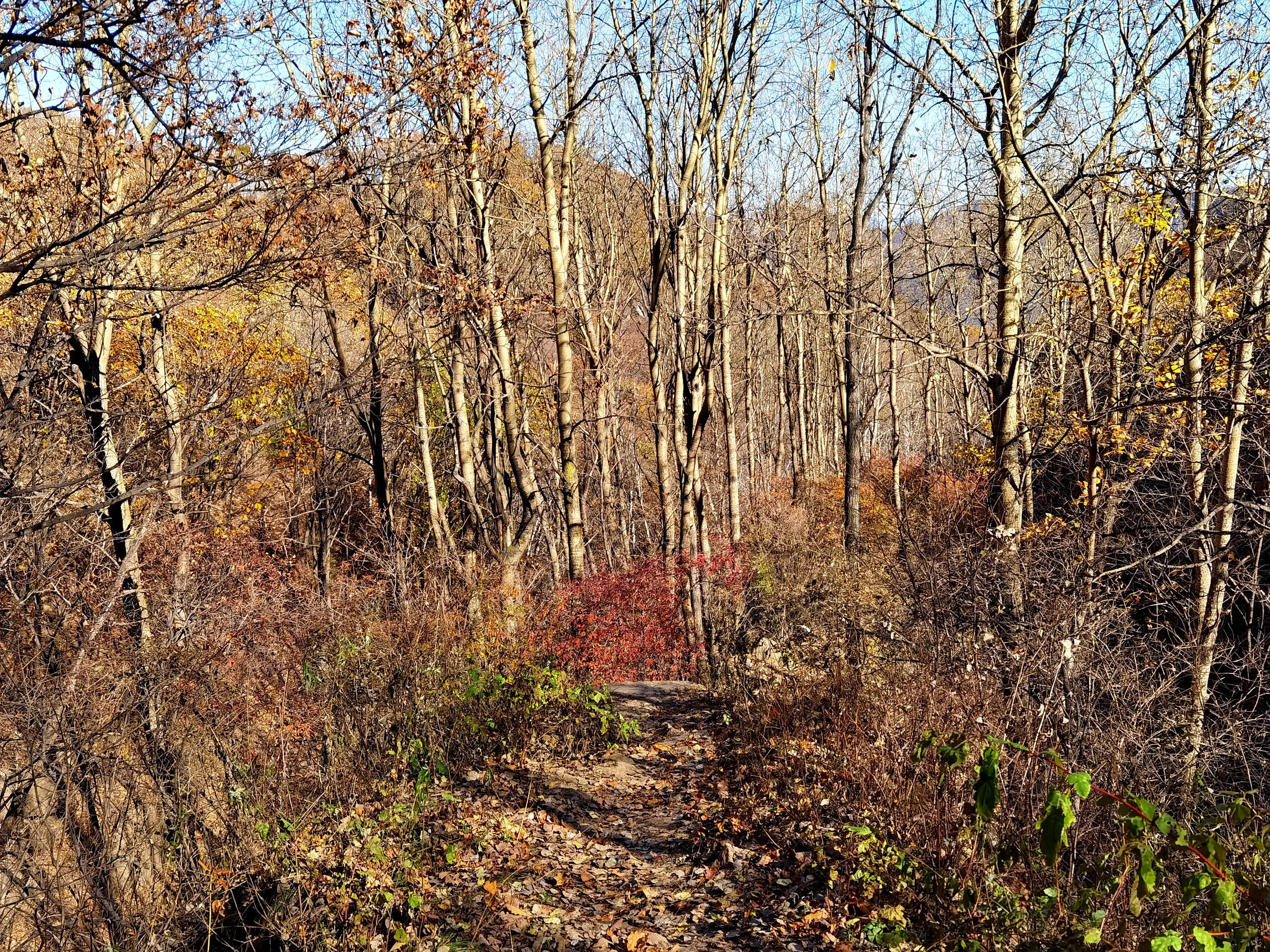 怀柔喇叭沟门原始森林2日自驾游,怀柔喇叭沟门原始森林骑行