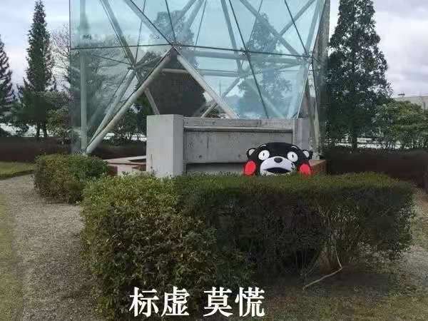 什么免流量卡有通用流量,免流量卡有什么好处