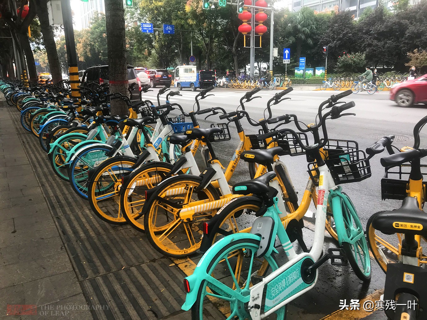 大度的西安，成公共自行车在国内发展最好的城市，全城人都在骑