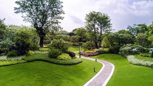 翠湖昆明湖,昆明湖到底有多好