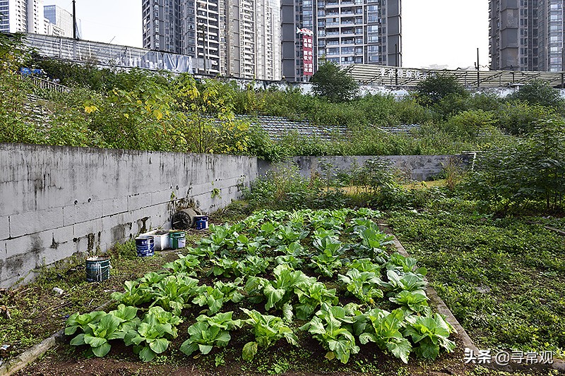 重庆力帆足球最近的消息,重庆力帆足球俱乐部现状