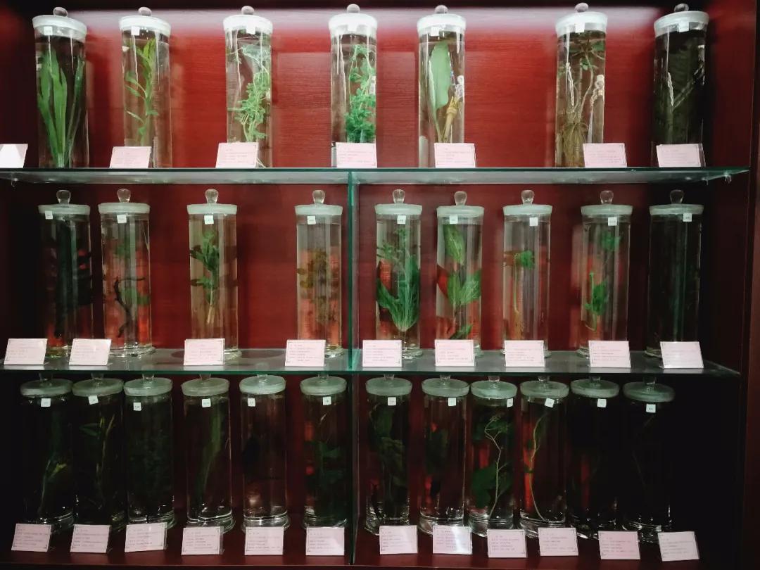 这个区域的居民就医方便了，日照市中医医院在云海路增加执业地点