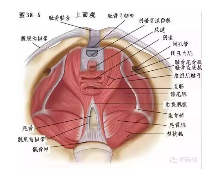 你的核心有多重,你的核心在哪里