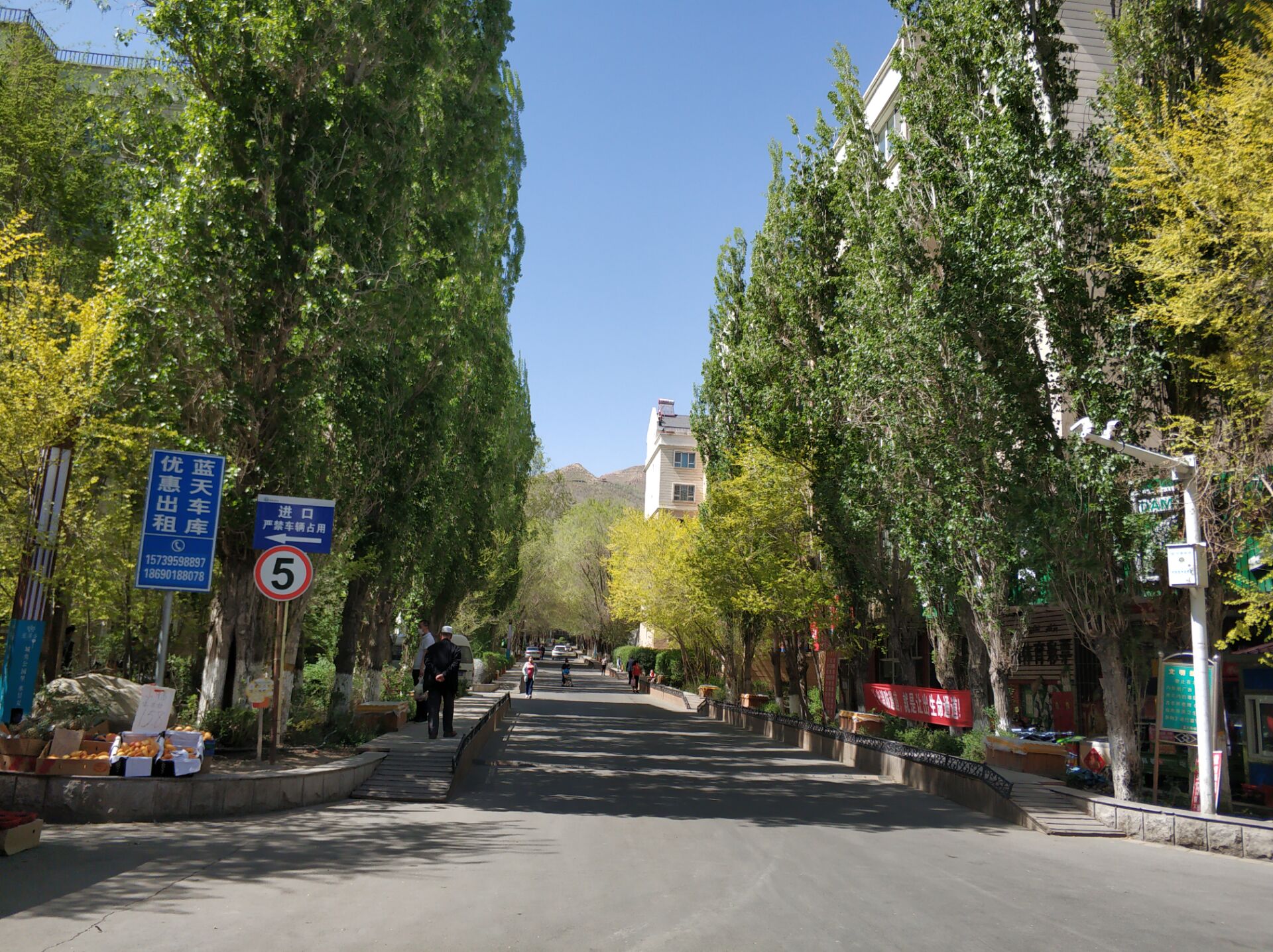 乌鲁木齐居然有这么漂亮的地方,乌鲁木齐周边森林公园在哪里