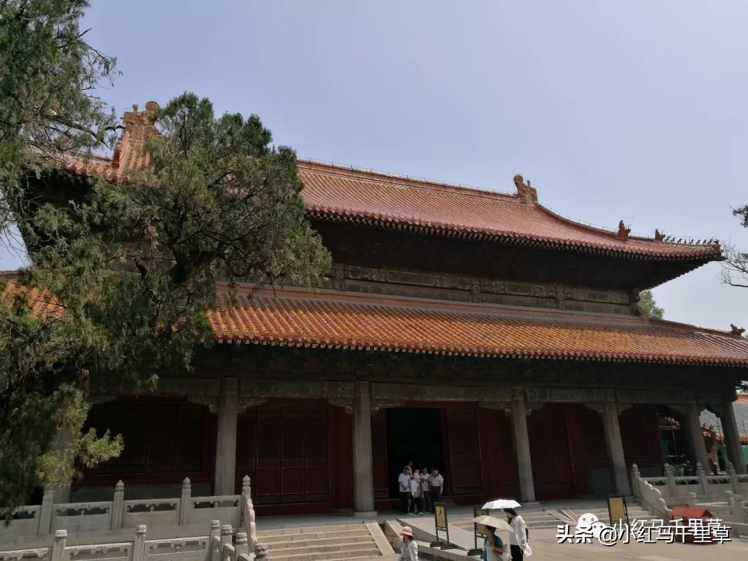 曲阜孔府孔庙孔林历史背景,曲阜孔府孔庙孔林一游