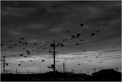 癌症患者抗癌的日记,癌症晚期的抗癌日记