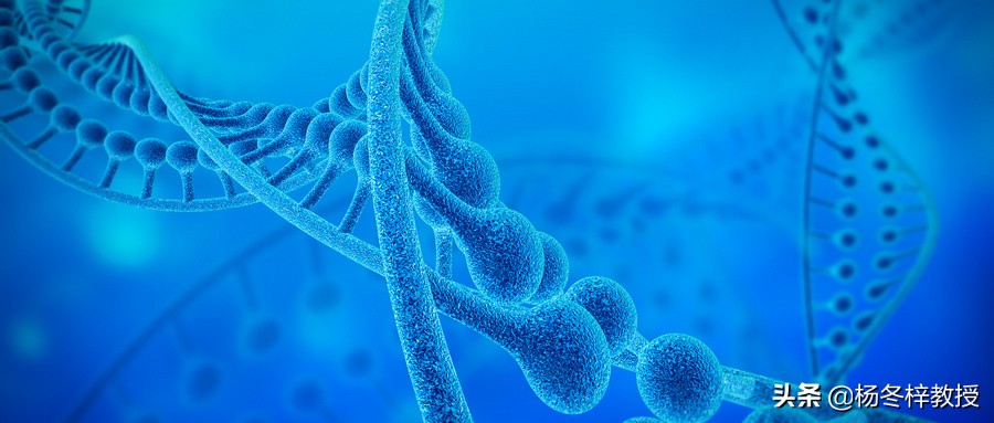 男性精子正常不育不孕原因,男性不育基因正常还要染色体吗