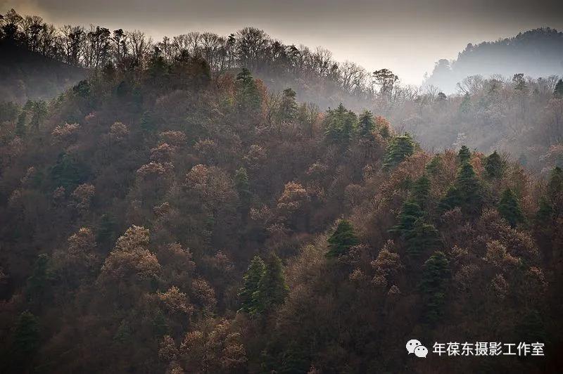 几年后有一种邀约叫：千岛为伴，鱼酒相随，我在天水曲溪等你