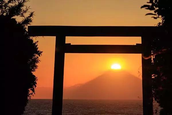 去日本看樱花的攻略,日本人第一次到中国看最大的樱花