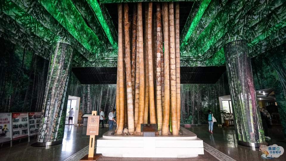 以竹而闻名天下素有中国竹乡之美誉还有一个竹类大观园